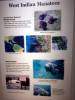 241 - 20181020 Denver Museum Nature n Science
