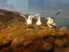 258 - 20181020 Denver Museum Nature n Science
