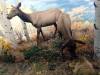 266 - 20181020 Denver Museum Nature n Science