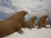 268 - 20181020 Denver Museum Nature n Science