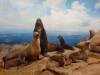 269 - 20181020 Denver Museum Nature n Science