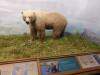 271 - 20181020 Denver Museum Nature n Science