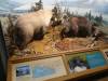 272 - 20181020 Denver Museum Nature n Science