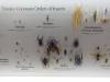 285 - 20181020 Denver Museum Nature n Science