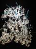 286 - 20181020 Denver Museum Nature n Science