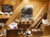 287 - 20181020 Denver Museum Nature n Science