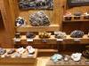 289 - 20181020 Denver Museum Nature n Science