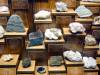 298 - 20181020 Denver Museum Nature n Science