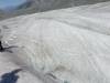 264 - 20190118 Mt Cook