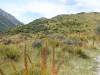 457 - 20190118 Mt Cook
