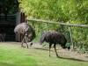 3450 - 20190621 Paris Jardin des Plantes Zoo