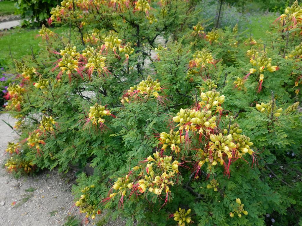 3314 - 20190621 Paris Jardin des Plantes