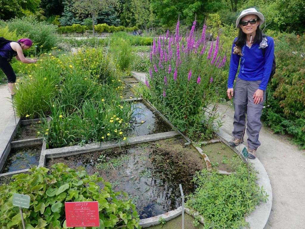 3315 - 20190621 Paris Jardin des Plantes