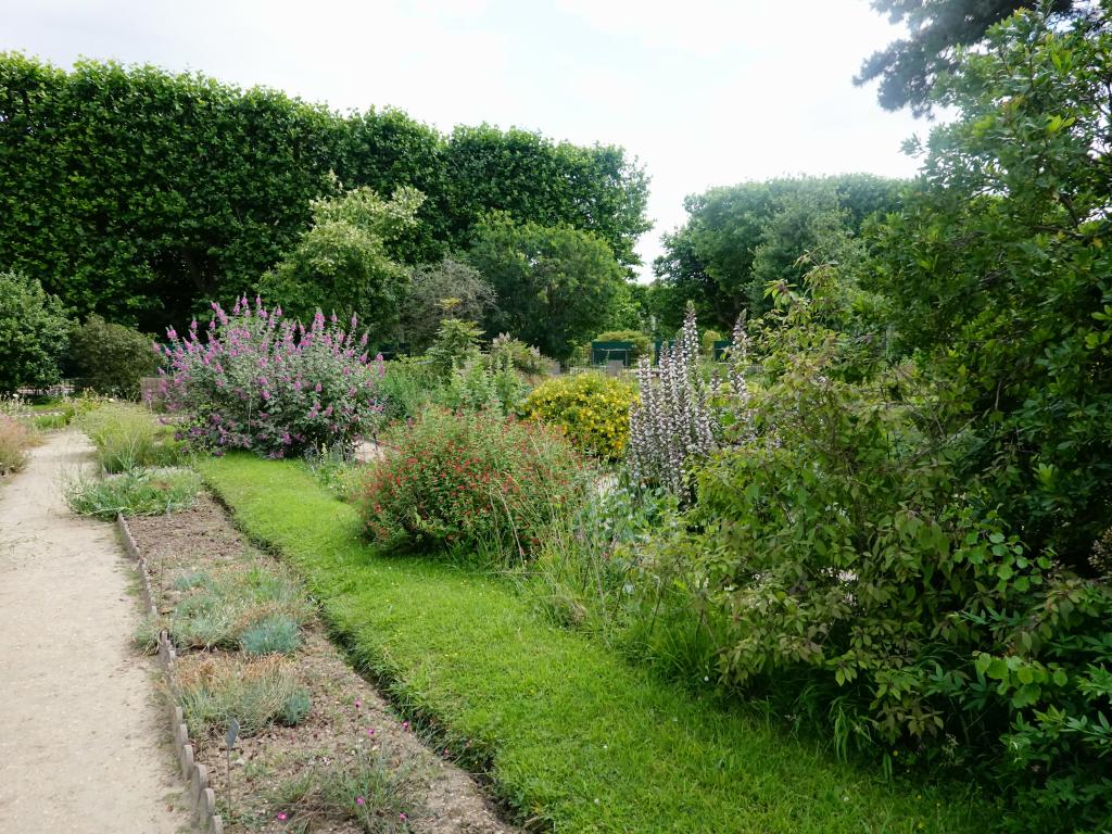 3319 - 20190621 Paris Jardin des Plantes