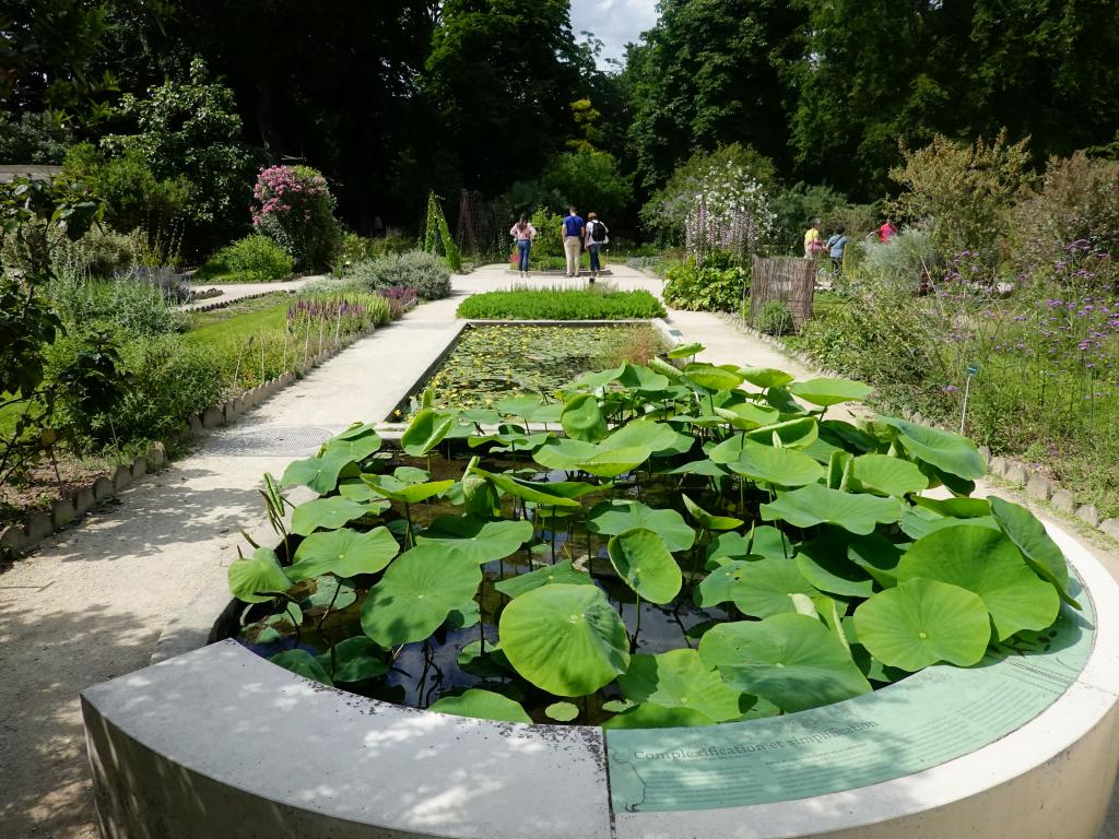 3322 - 20190621 Paris Jardin des Plantes