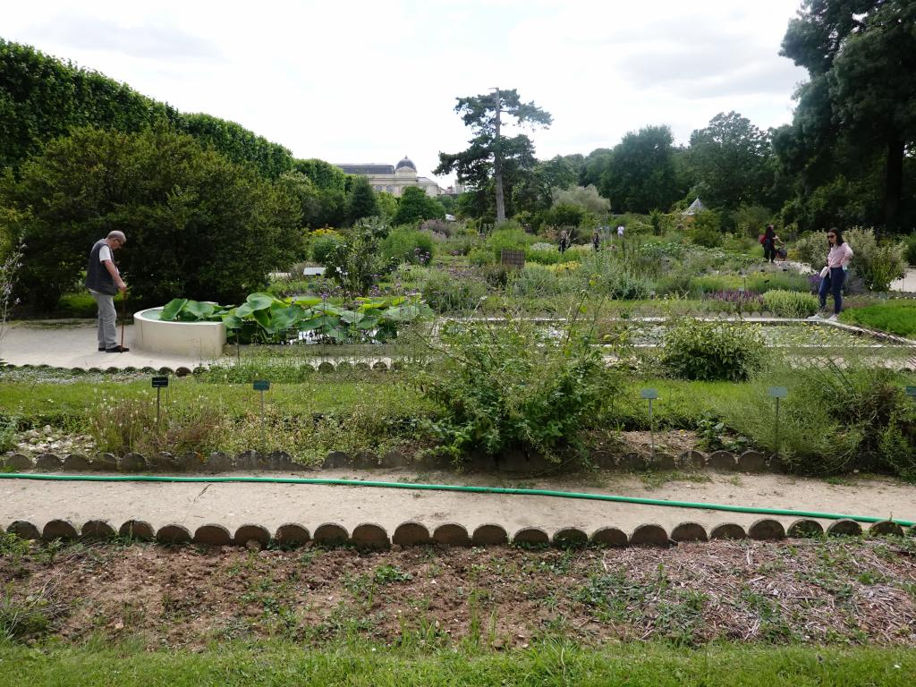 3325 - 20190621 Paris Jardin des Plantes