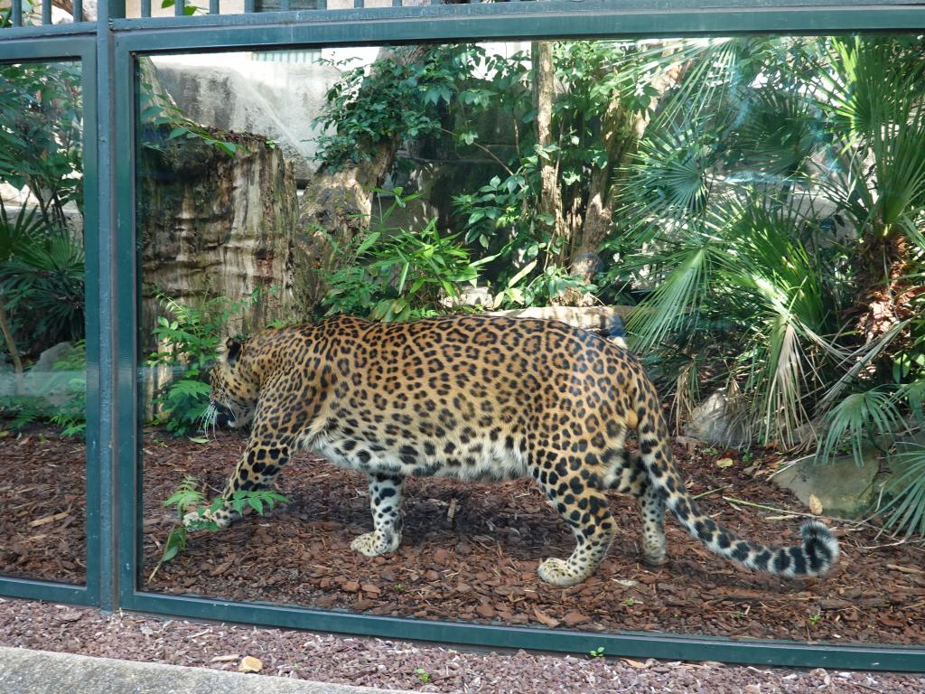 3444 - 20190621 Paris Jardin des Plantes Zoo