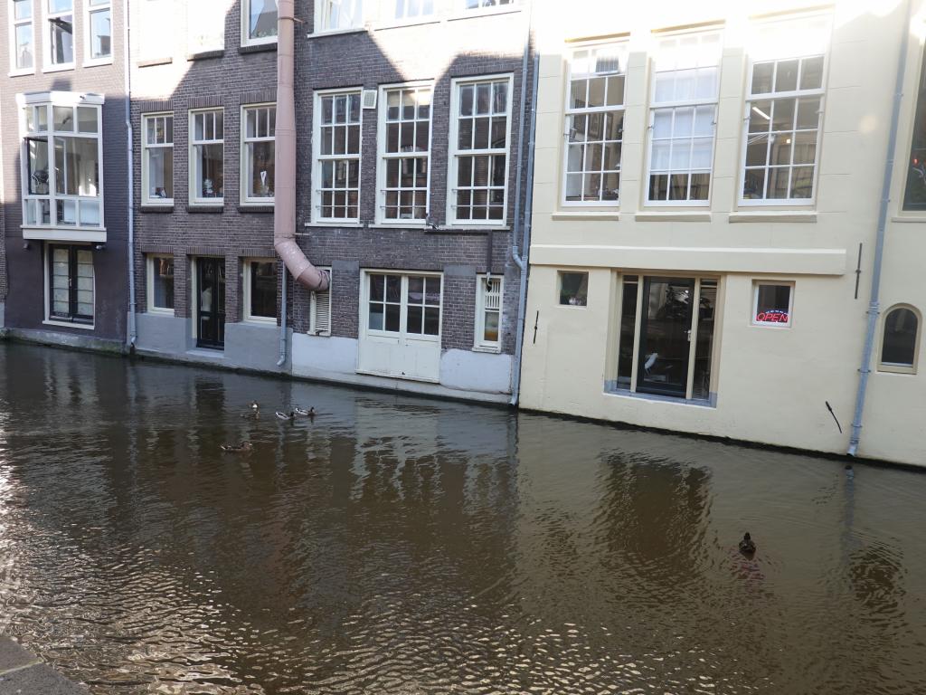 5189 - 20190701 Amsterdam Day5