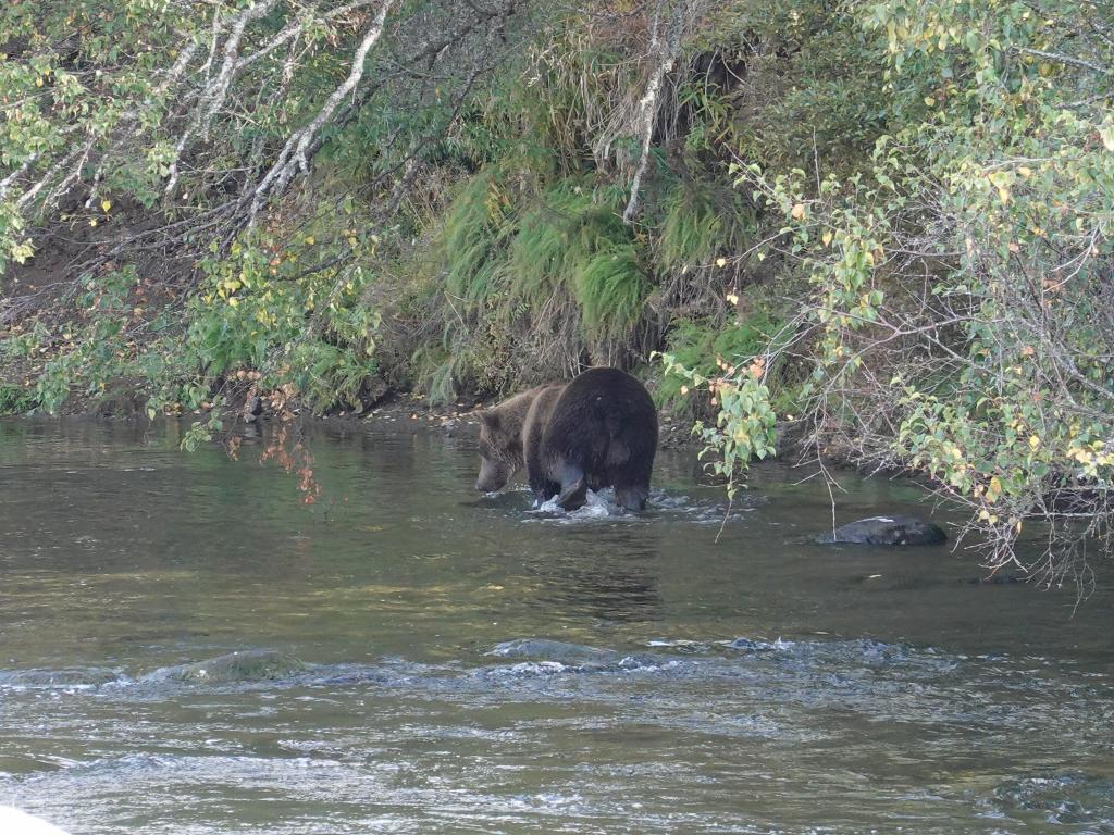 207 - 20190904 Day01 Katmai