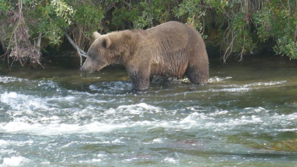 209 - 20190904 Day01 Katmai