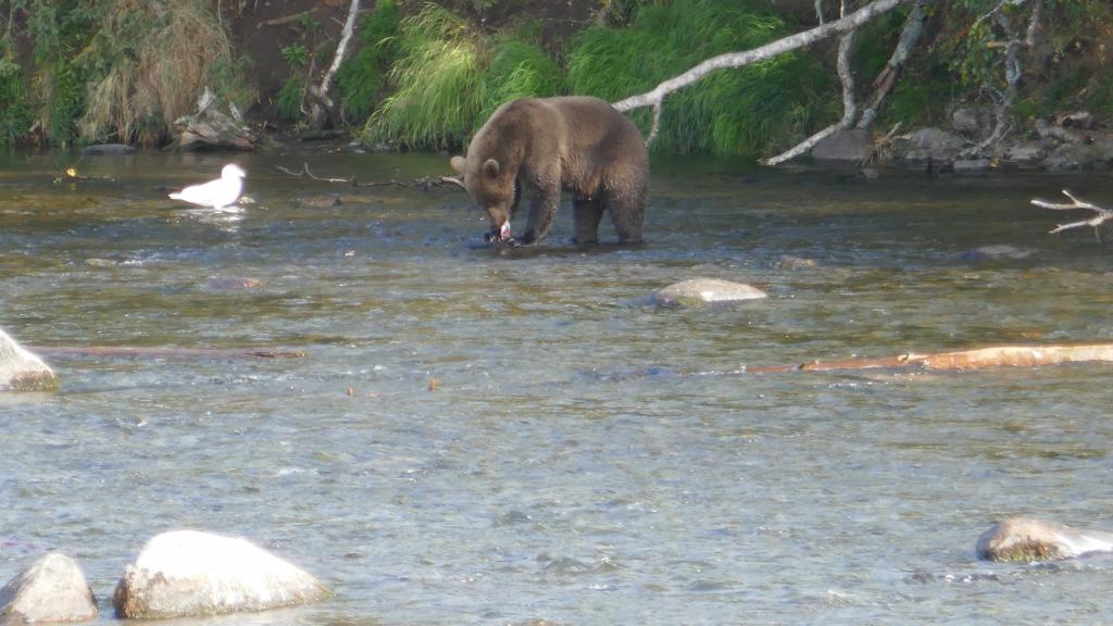 210 - 20190904 Day01 Katmai