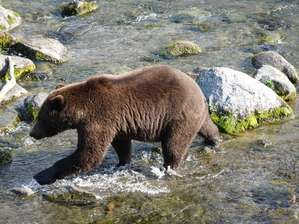 212 - 20190904 Day01 Katmai