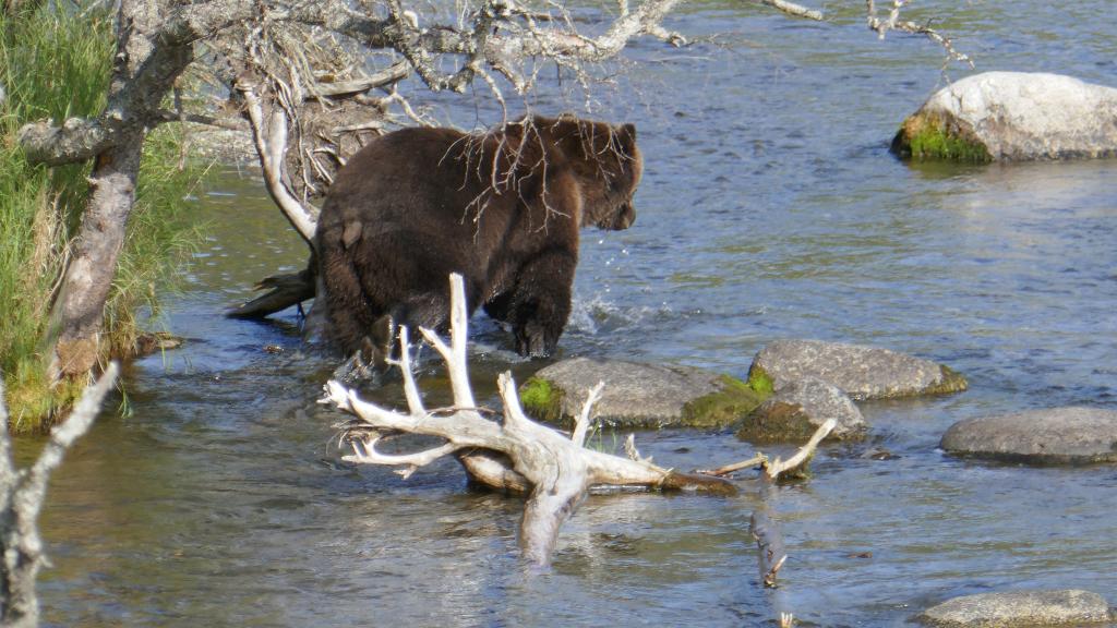 218 - 20190904 Day01 Katmai