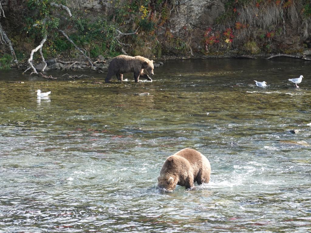 222 - 20190904 Day01 Katmai