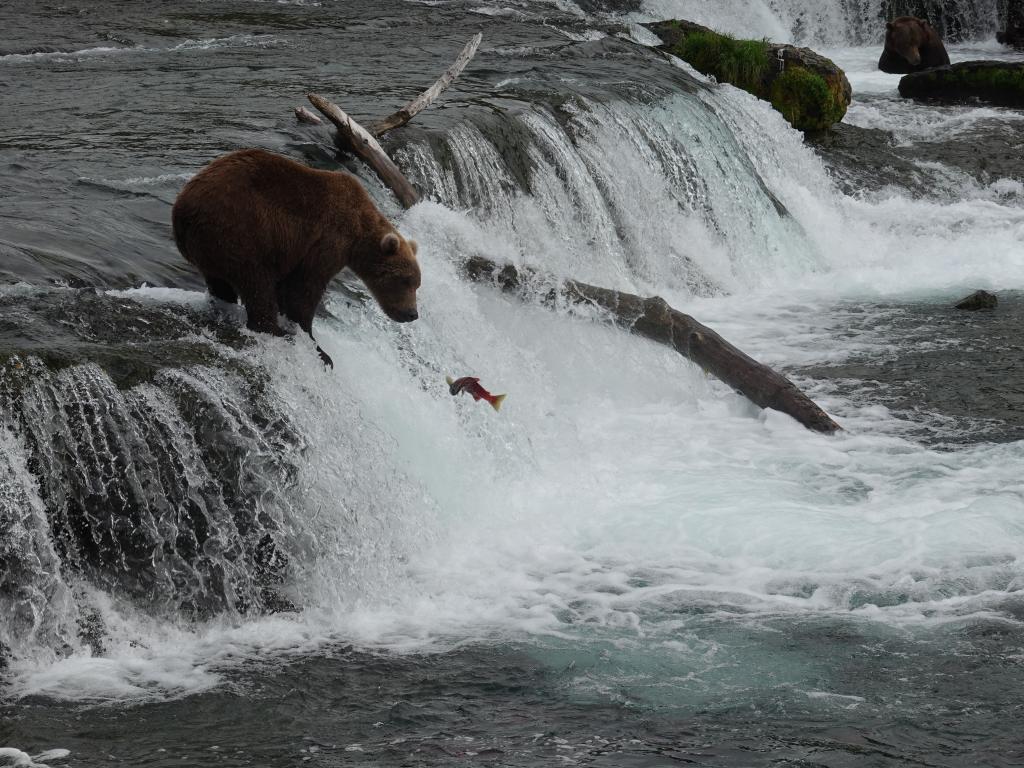 279 - 20190904 Day01 Katmai