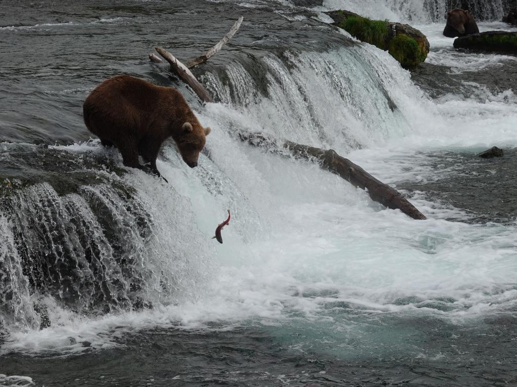 286 - 20190904 Day01 Katmai