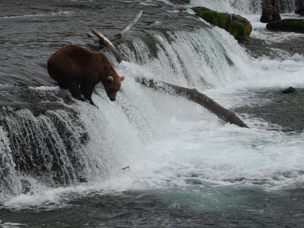 292 - 20190904 Day01 Katmai