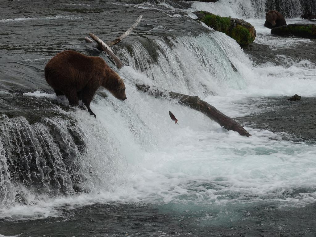 294 - 20190904 Day01 Katmai