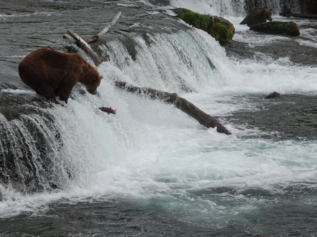 306 - 20190904 Day01 Katmai