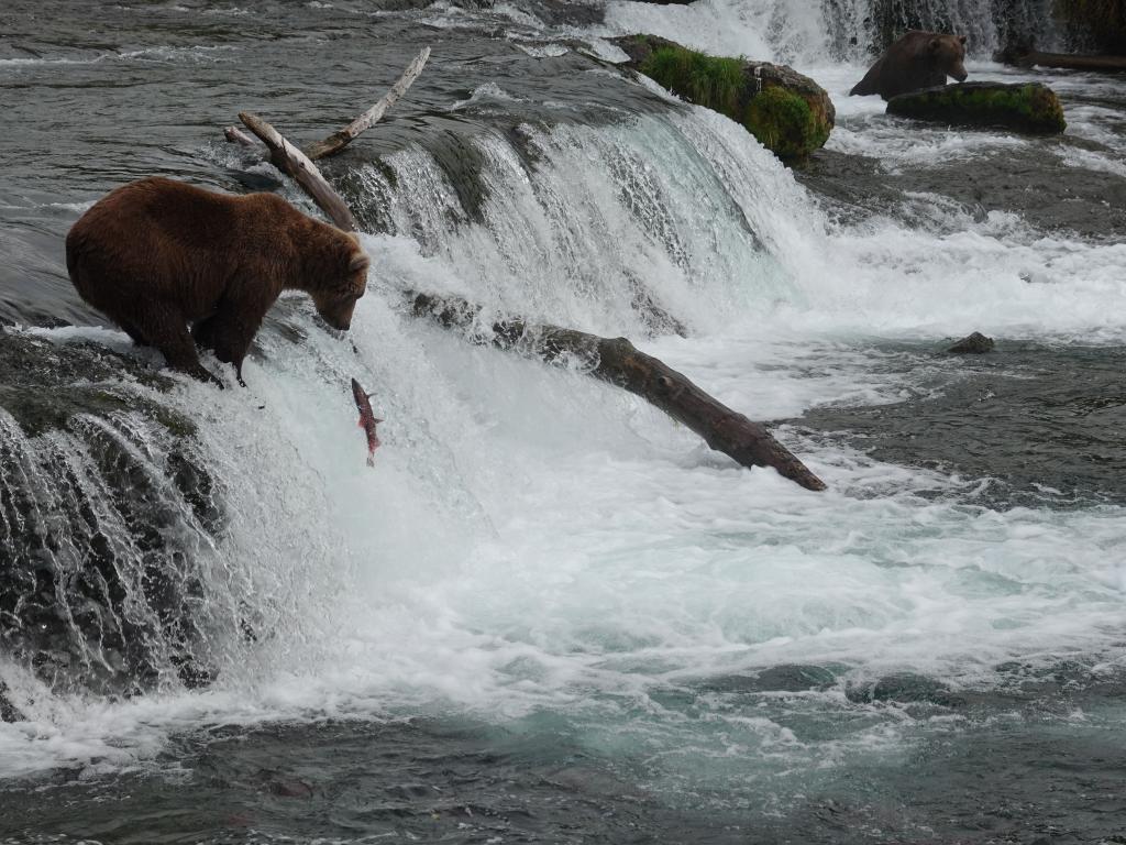 307 - 20190904 Day01 Katmai