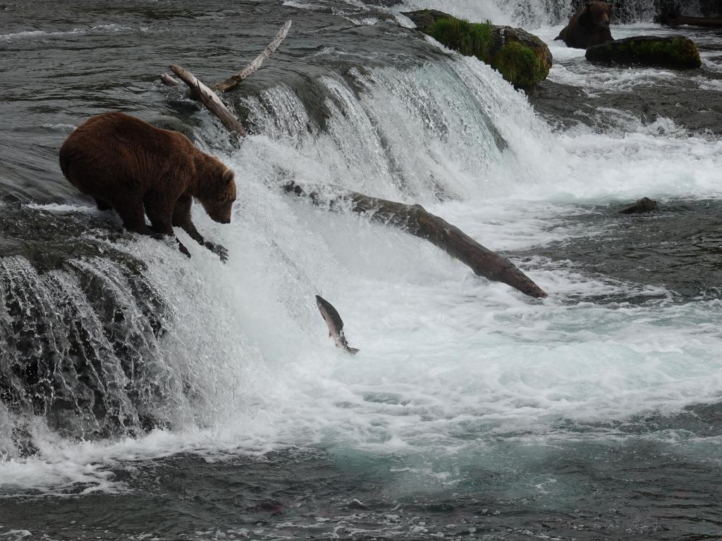 317 - 20190904 Day01 Katmai