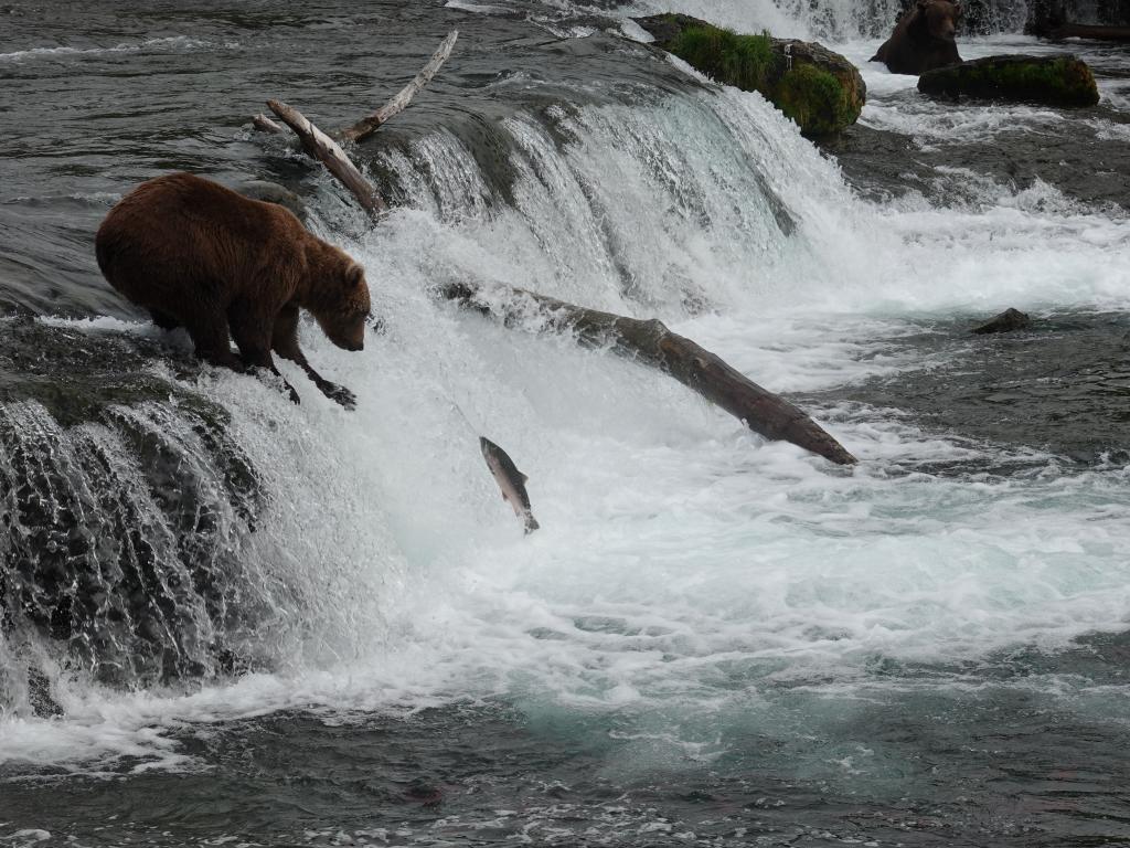 318 - 20190904 Day01 Katmai