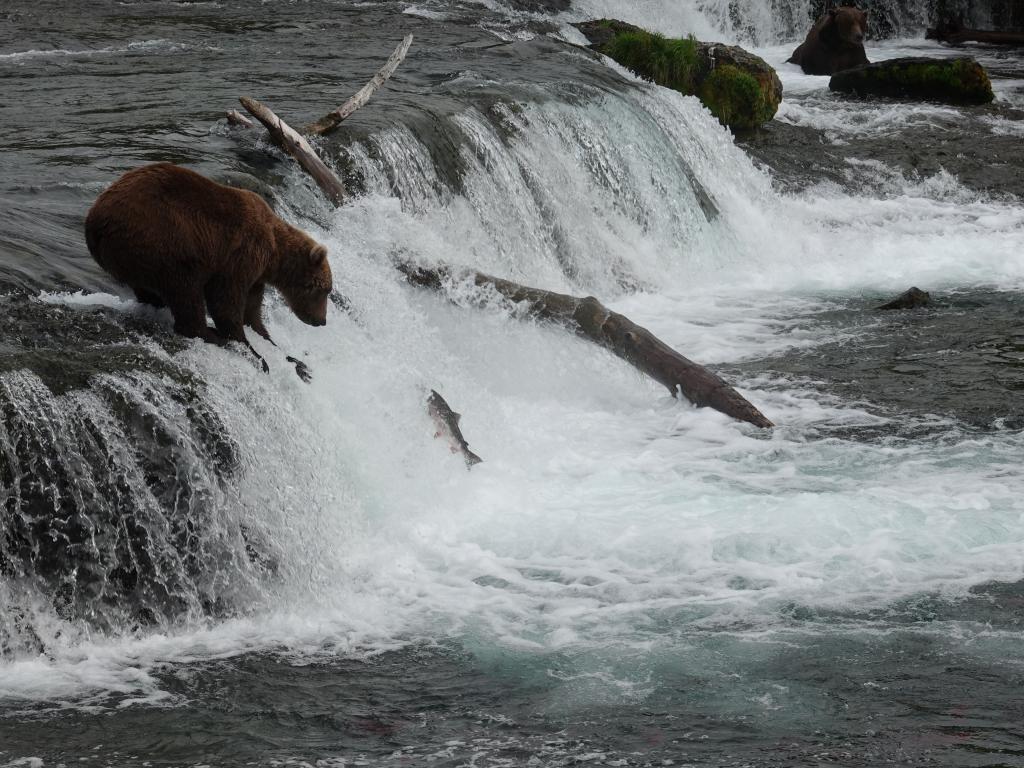 319 - 20190904 Day01 Katmai