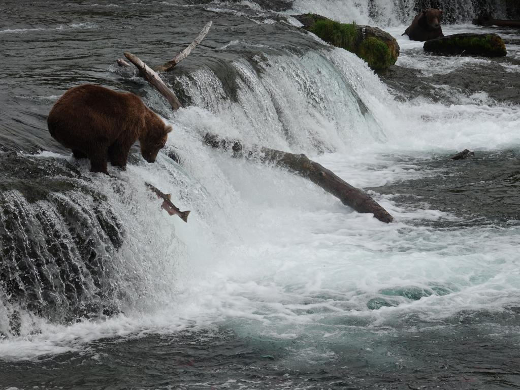 330 - 20190904 Day01 Katmai