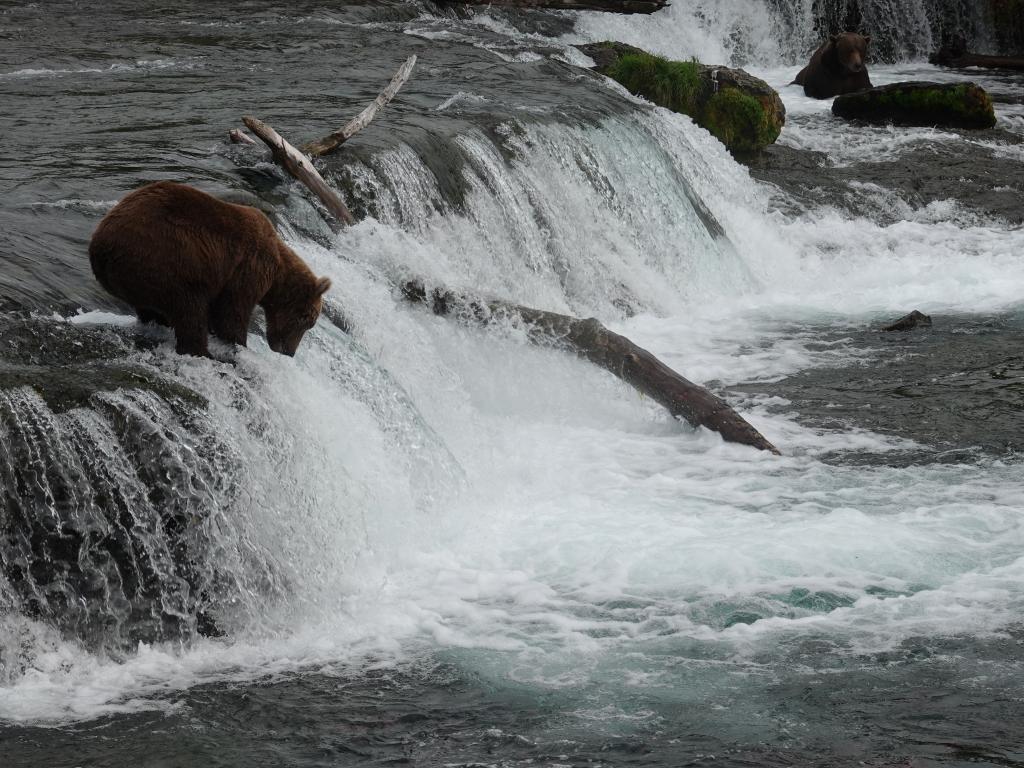 335 - 20190904 Day01 Katmai