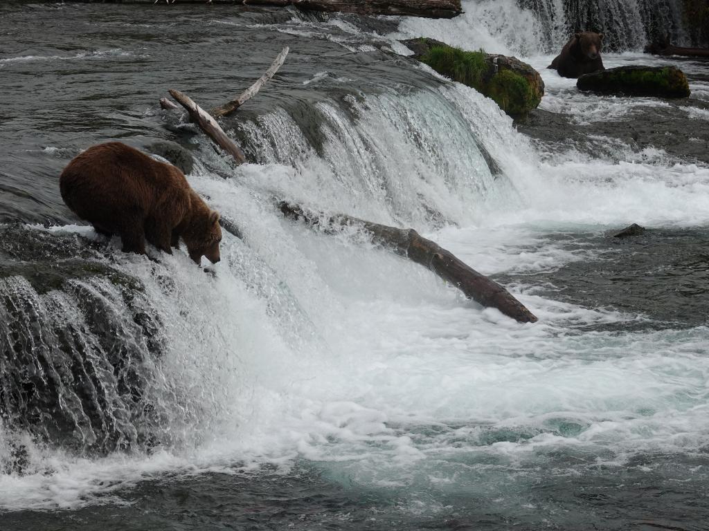 339 - 20190904 Day01 Katmai