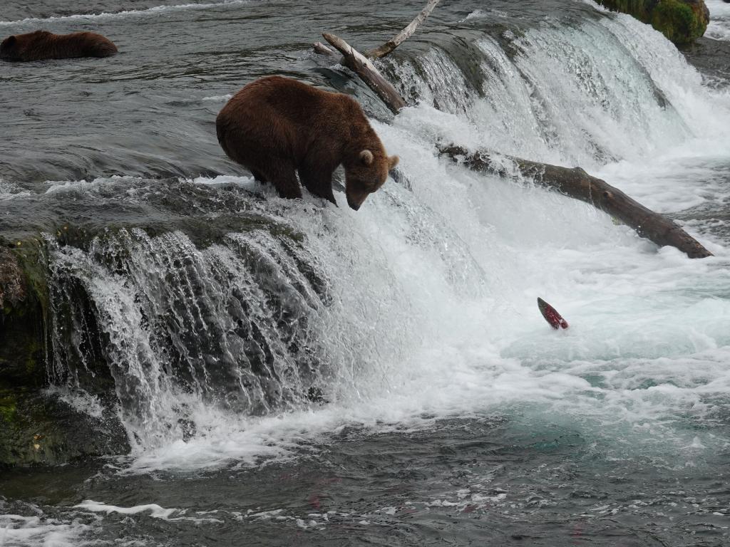 352 - 20190904 Day01 Katmai