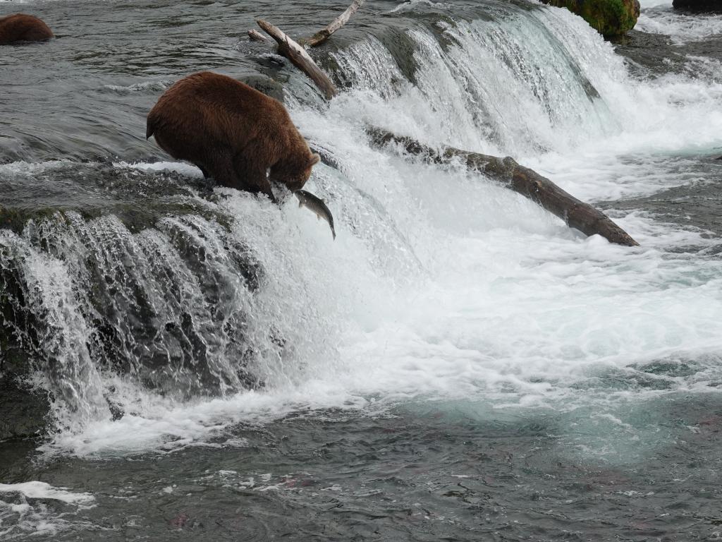 363 - 20190904 Day01 Katmai