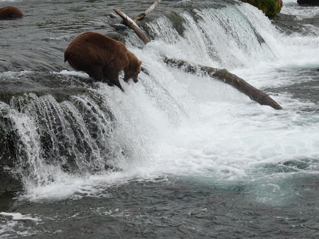 367 - 20190904 Day01 Katmai