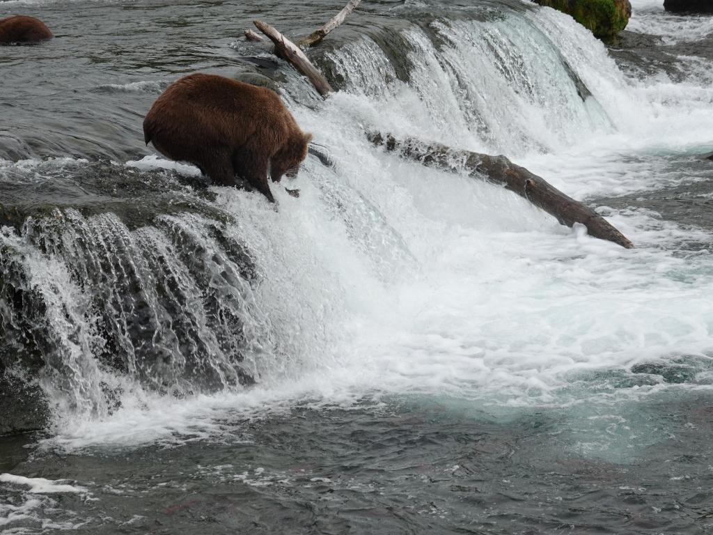 369 - 20190904 Day01 Katmai