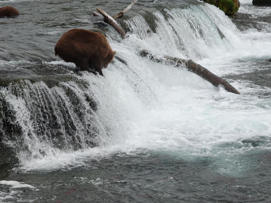 371 - 20190904 Day01 Katmai