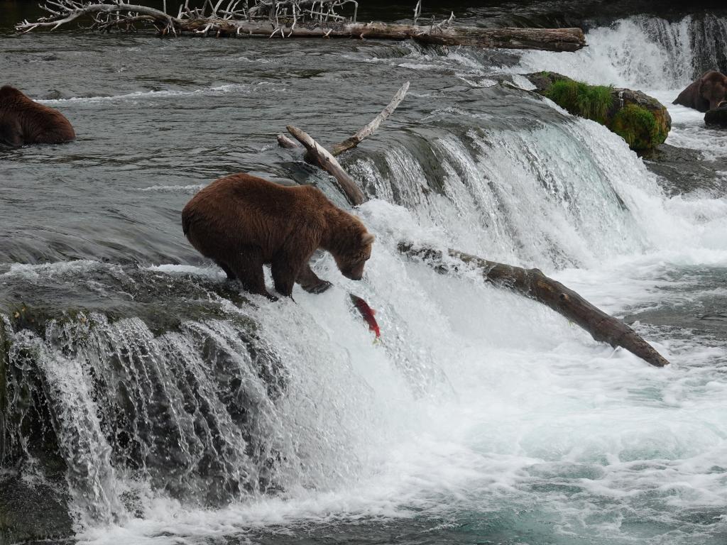 374 - 20190904 Day01 Katmai