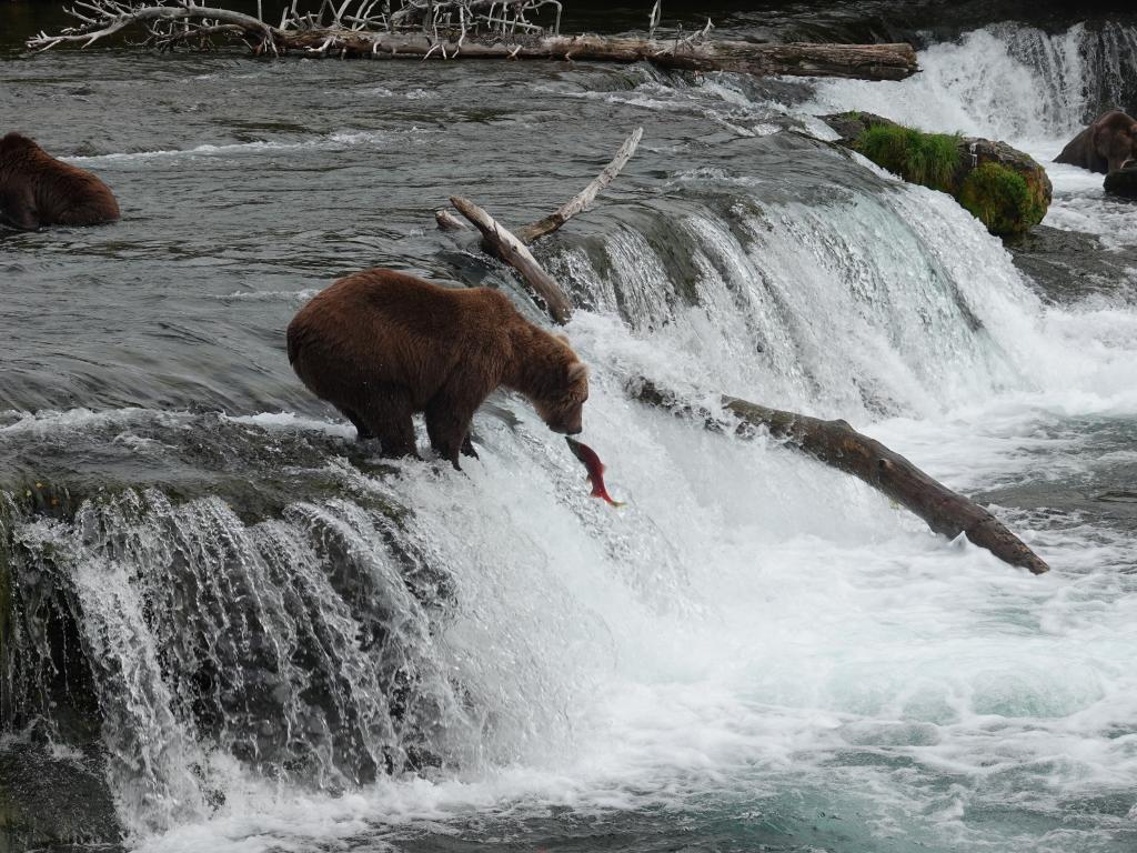 378 - 20190904 Day01 Katmai