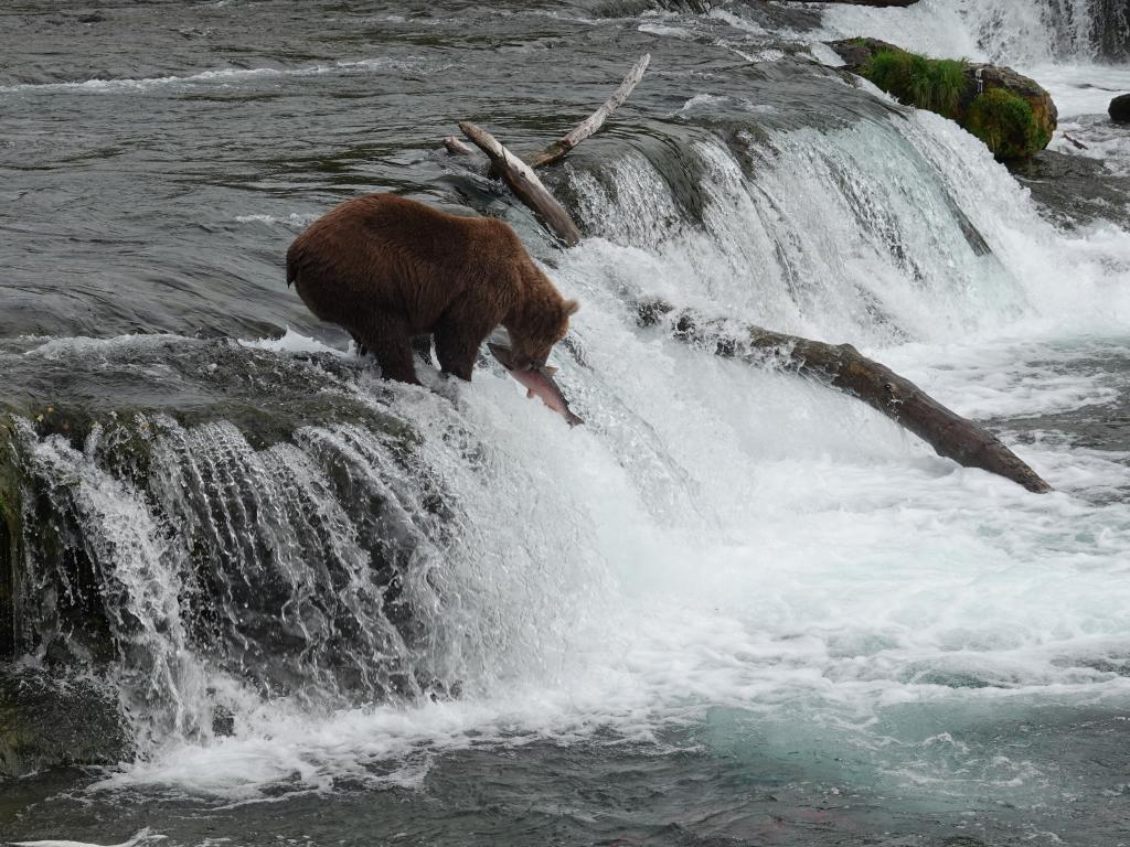 380 - 20190904 Day01 Katmai