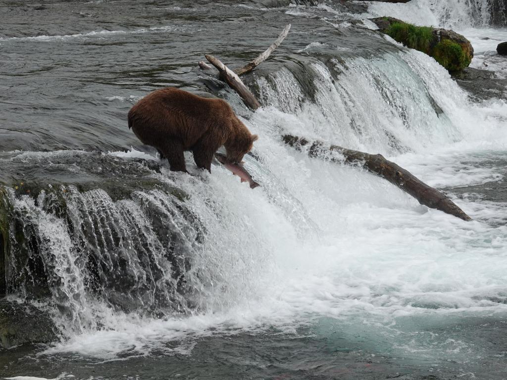 381 - 20190904 Day01 Katmai