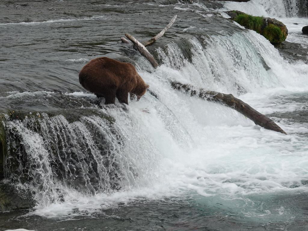 387 - 20190904 Day01 Katmai